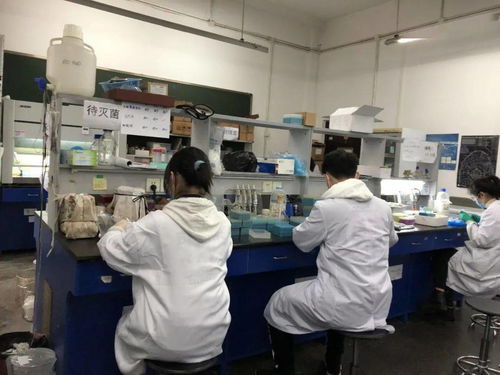 感受生物科技，創造無限未來——生物化工產品技術研發的社會實踐體會