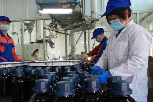 感恩前行 光華科技，不止于中國精細化工50強，深耕生物化工產品技術研發