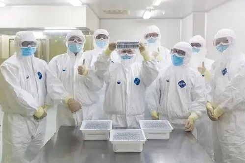 北京新冠病毒滅活疫苗計劃七月試生產，生物化工技術研發取得關鍵進展